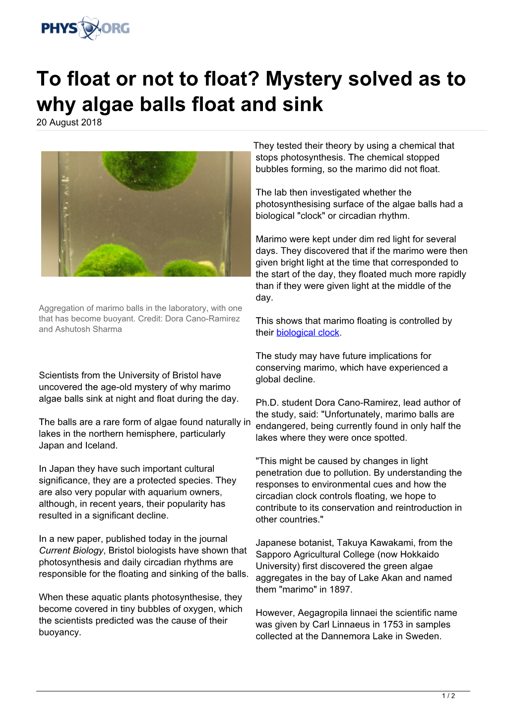 Mystery Solved As to Why Algae Balls Float and Sink 20 August 2018