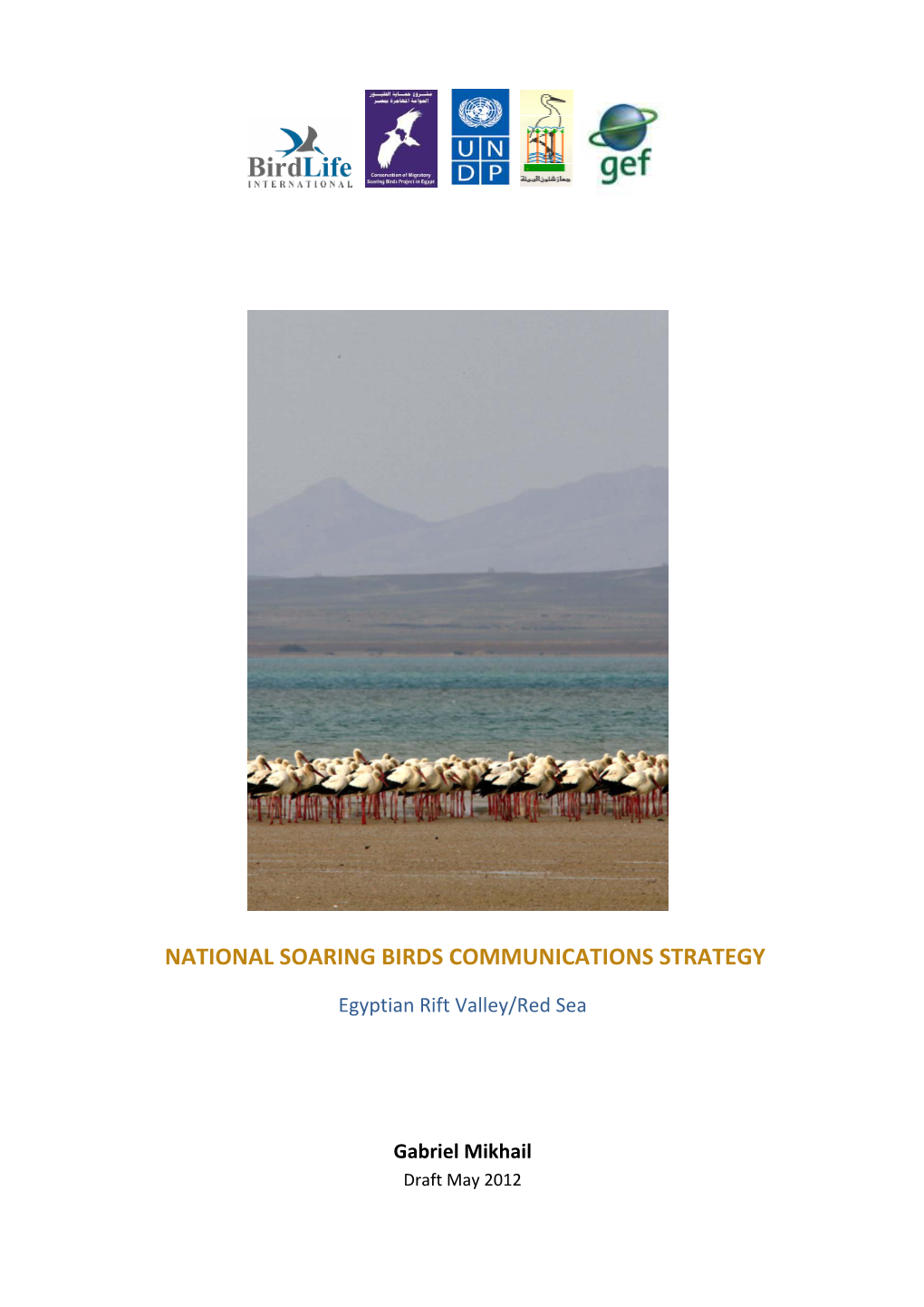 National Soaring Birds Communications Strategy