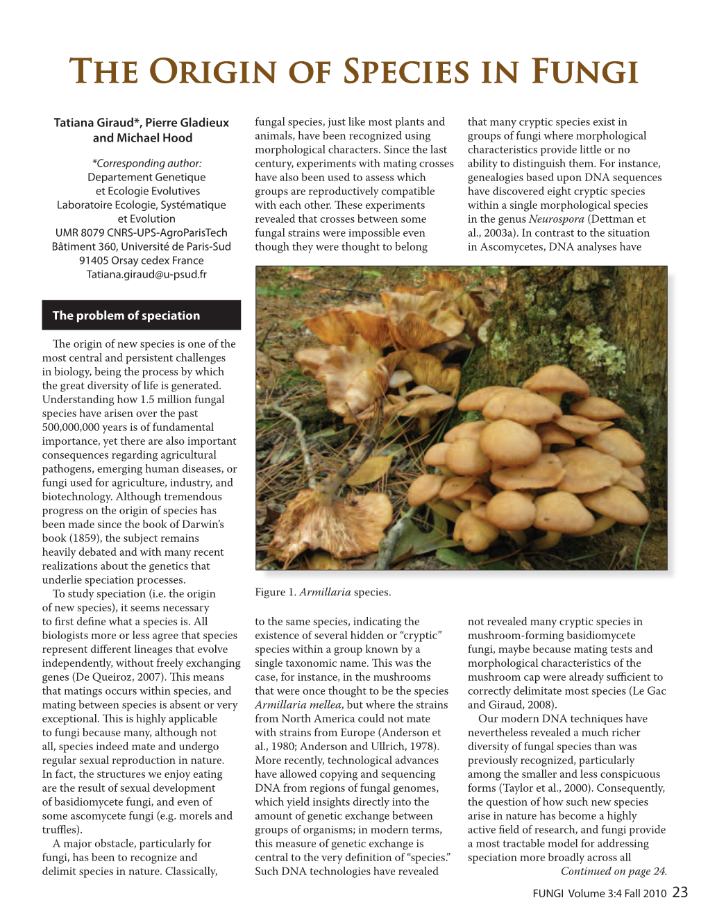 The Origin of Species in Fungi