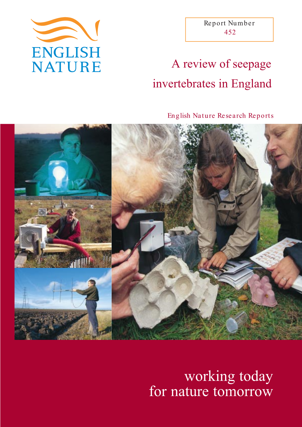 A Review of Seepage Invertebrates in England