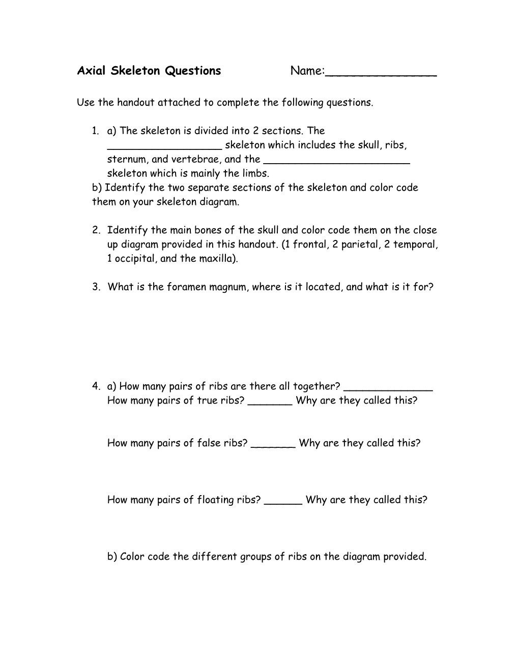 Axial Skeleton Questions