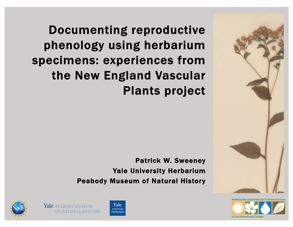 Documenting Reproductive Phenology Using Herbarium Specimens: Experiences from the New England Vascular Plants Project