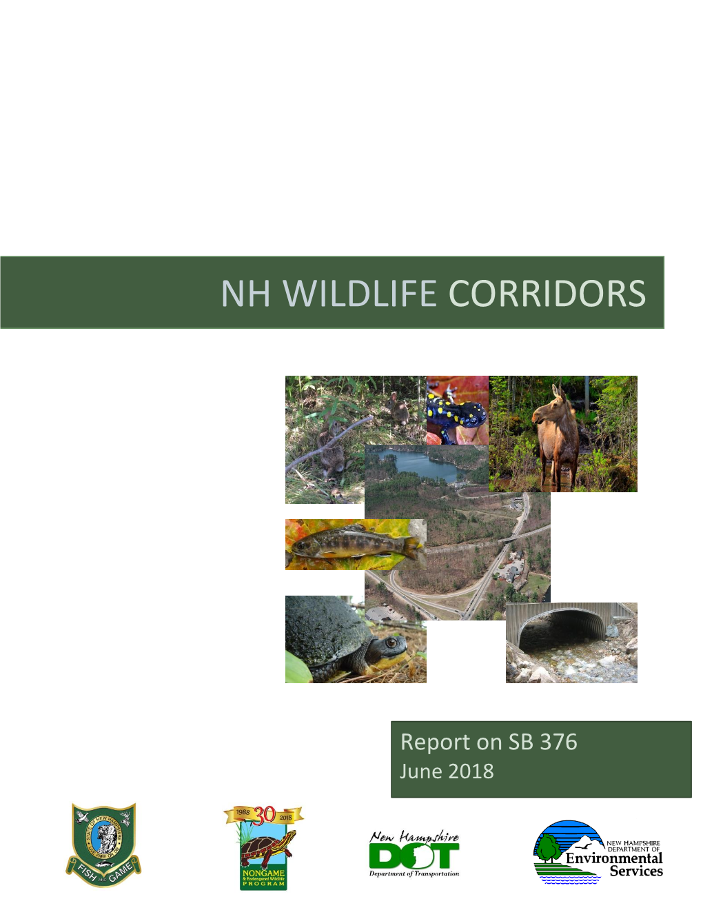 Wildlife Corridors