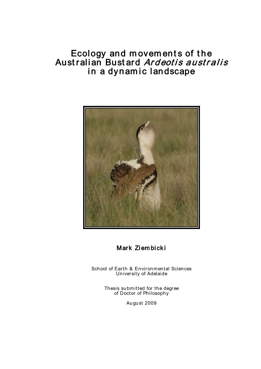 Ecology and Movements of the Australian Bustard Is Flexibility