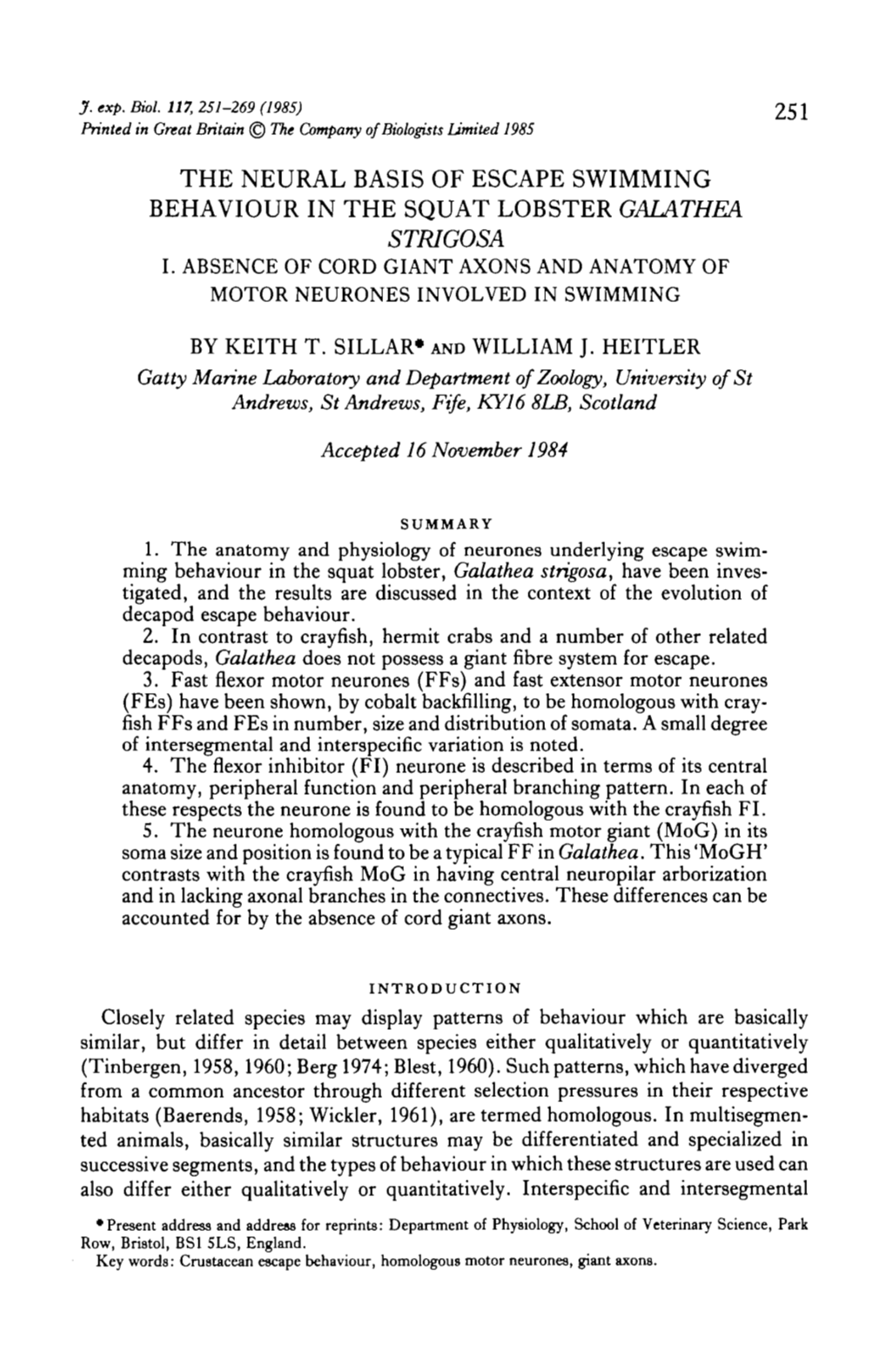 The Neural Basis of Escape Swimming Behaviour in the Squat Lobster Galathea Strigosa I