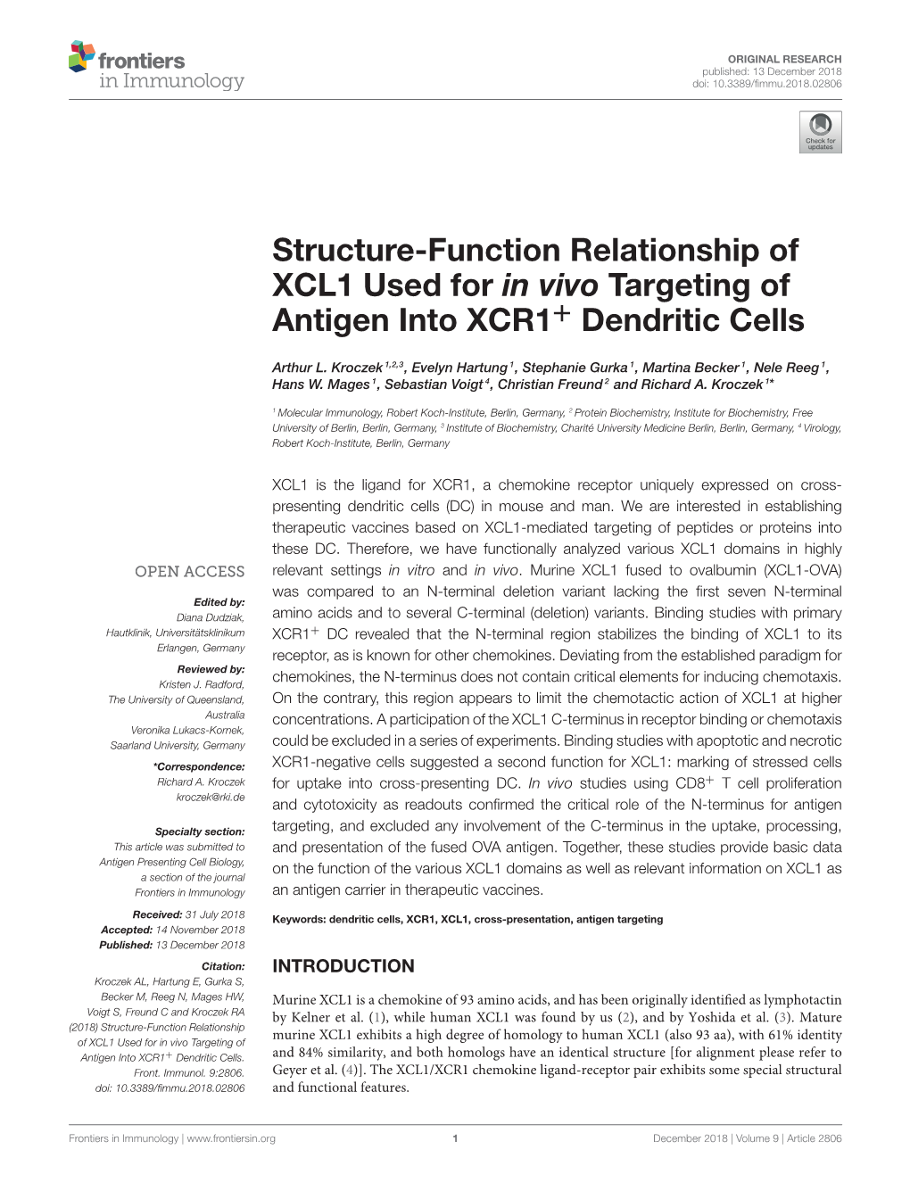 Structure-Function Relationship of XCL1 Used for in Vivo Targeting of Antigen Into XCR1+ Dendritic Cells
