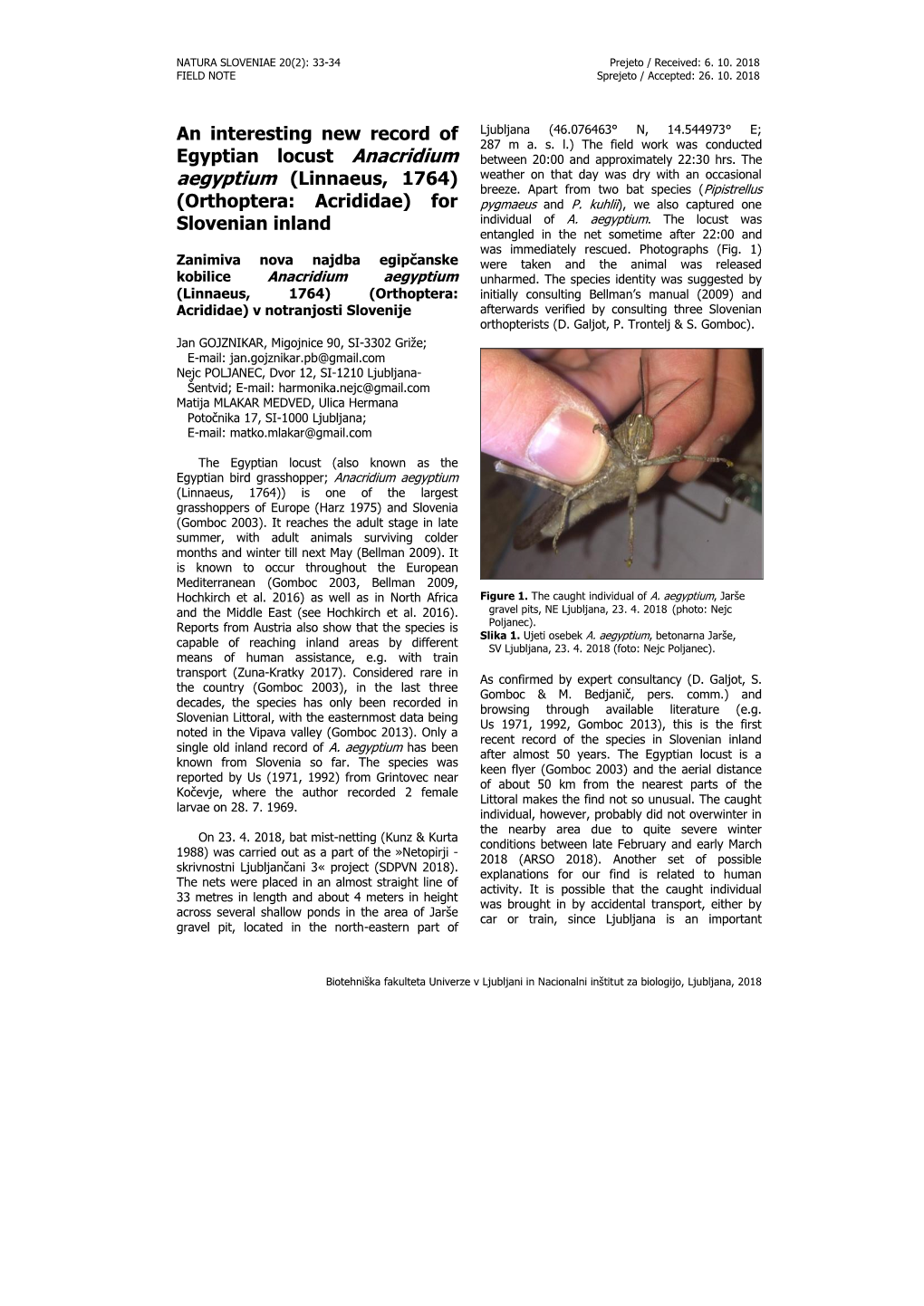 An Interesting New Record of Egyptian Locust Anacridium Aegyptium