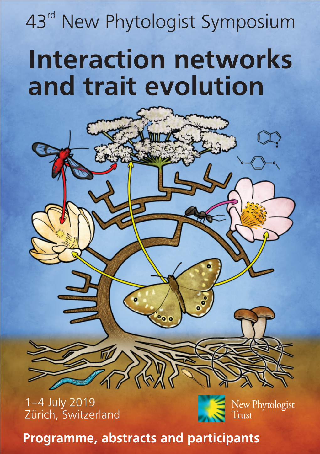 Interaction Networks and Trait Evolution