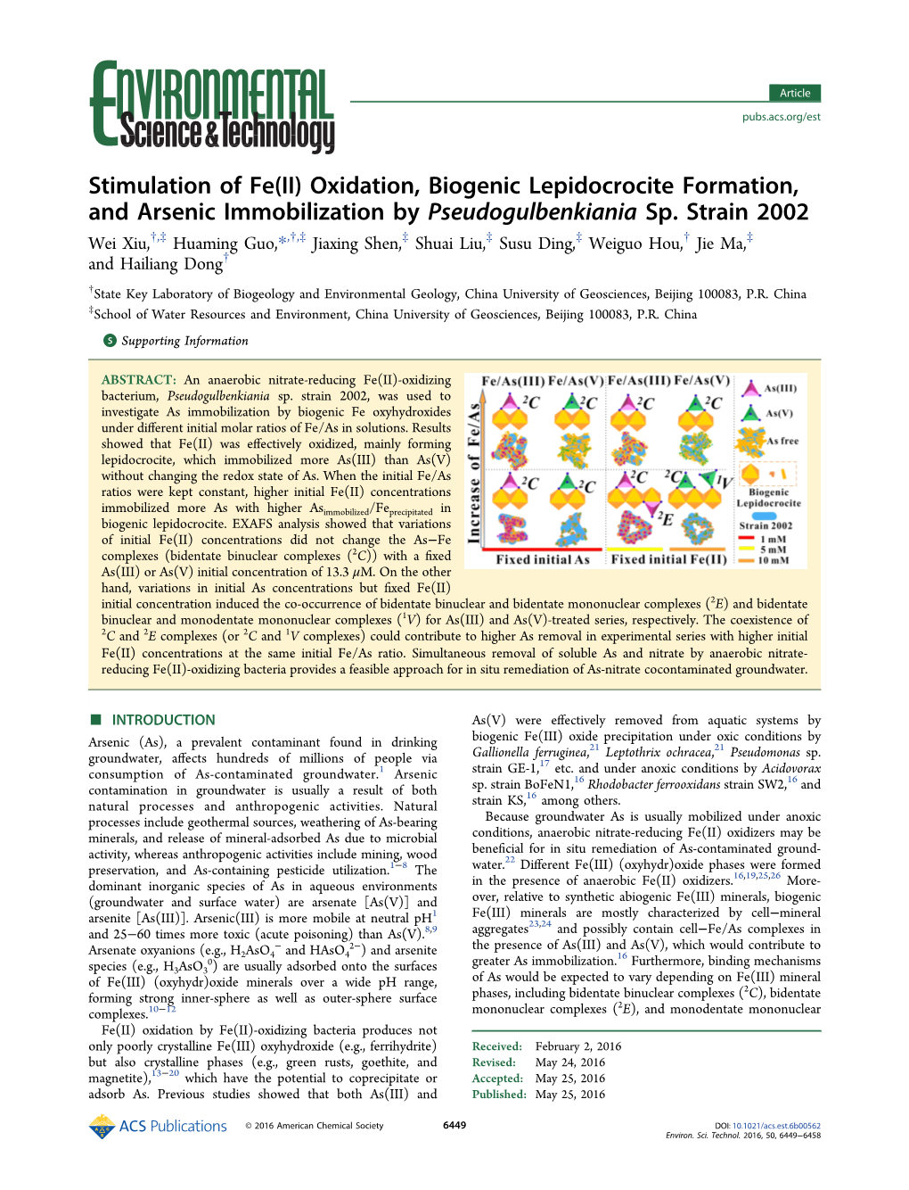 Stimulation of Fe(II) Oxidation, Biogenic Lepidocrocite Formation, and Arsenic Immobilization by Pseudogulbenkiania Sp