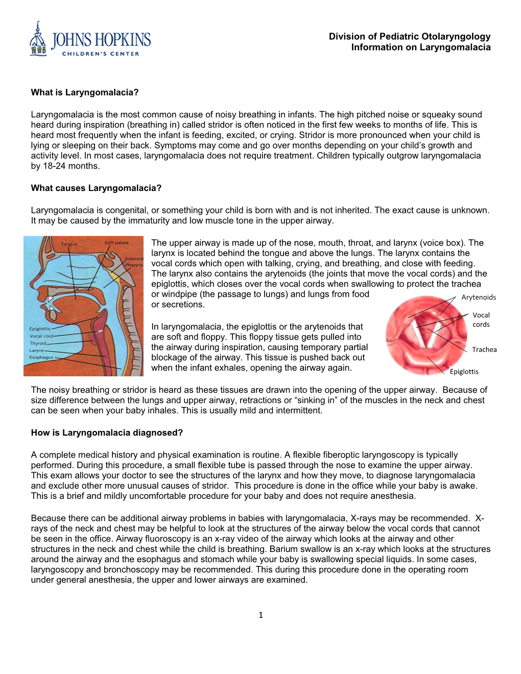 1 Division of Pediatric Otolaryngology Information on Laryngomalacia