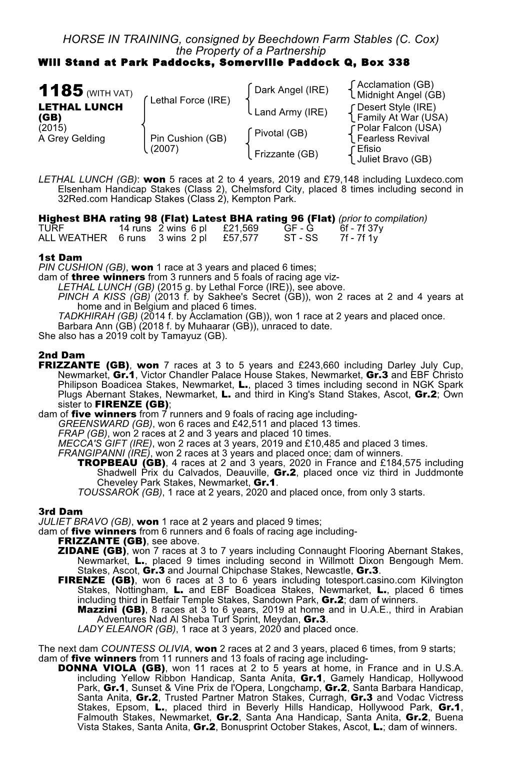 HORSE in TRAINING, Consigned by Beechdown Farm Stables (C. Cox) the Property of a Partnership Will Stand at Park Paddocks, Somerville Paddock Q, Box 338