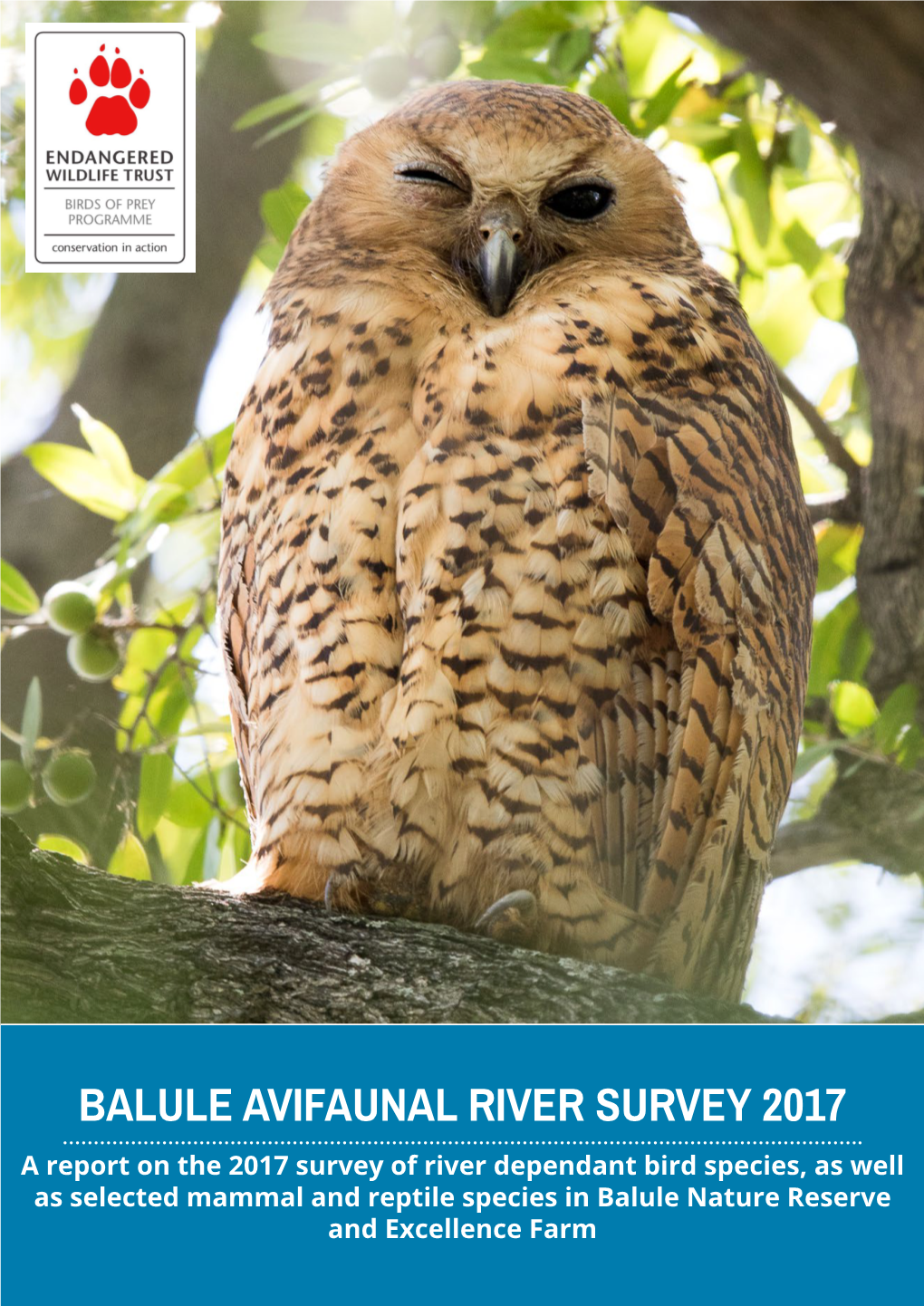 Balule Avifaunal River Survey 2017