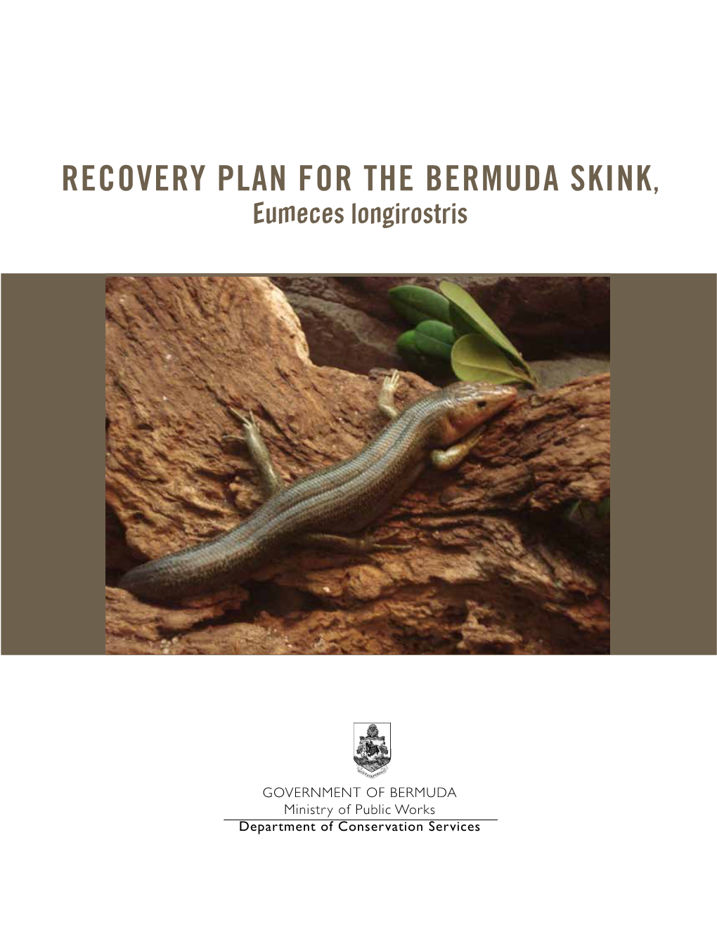 RECOVERY PLAN for the BERMUDA SKINK, Eumeces Longirostris