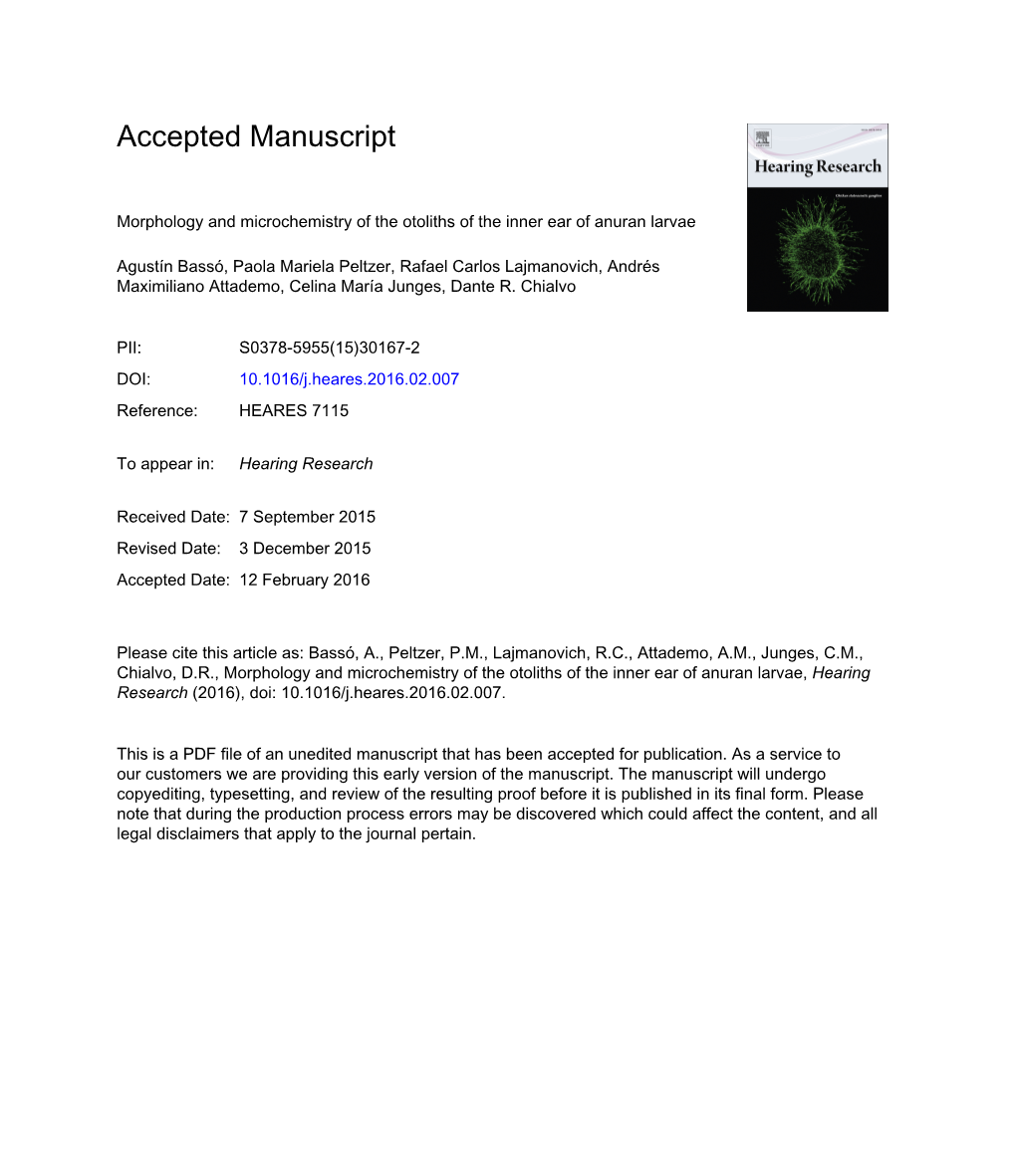 Morphology and Microchemistry of the Otoliths of the Inner Ear of Anuran Larvae