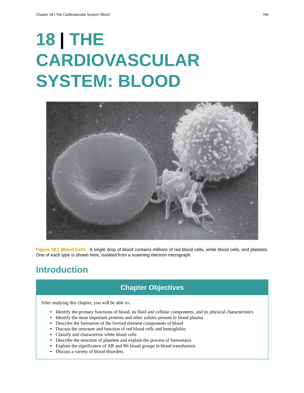 18 | the Cardiovascular System: Blood 785 18 | the CARDIOVASCULAR SYSTEM: BLOOD