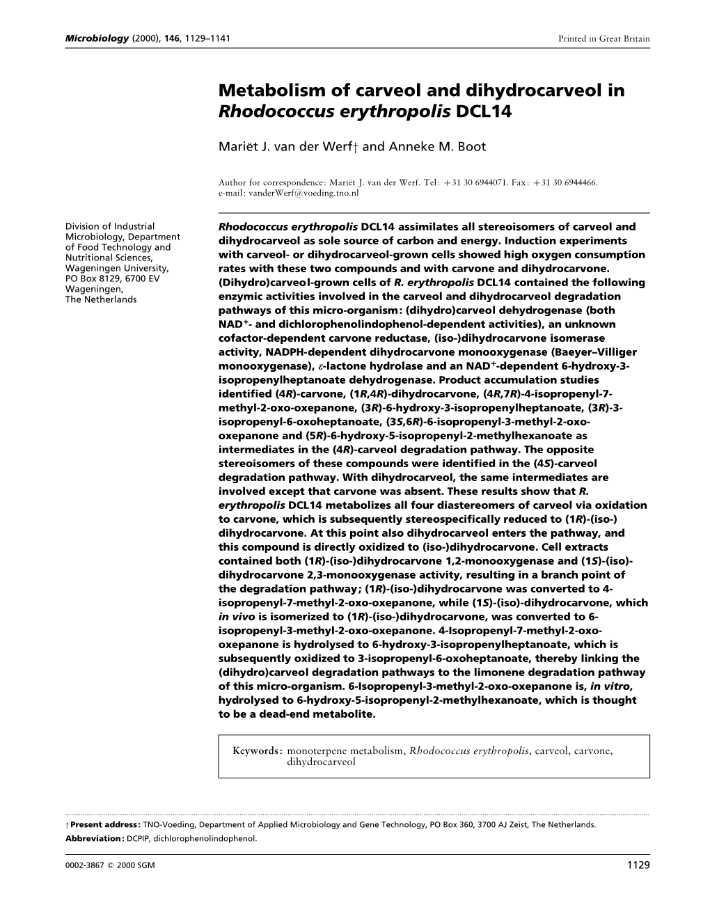 Metabolism of Carveol and Dihydrocarveol in Rhodococcus Erythropolis DCL14