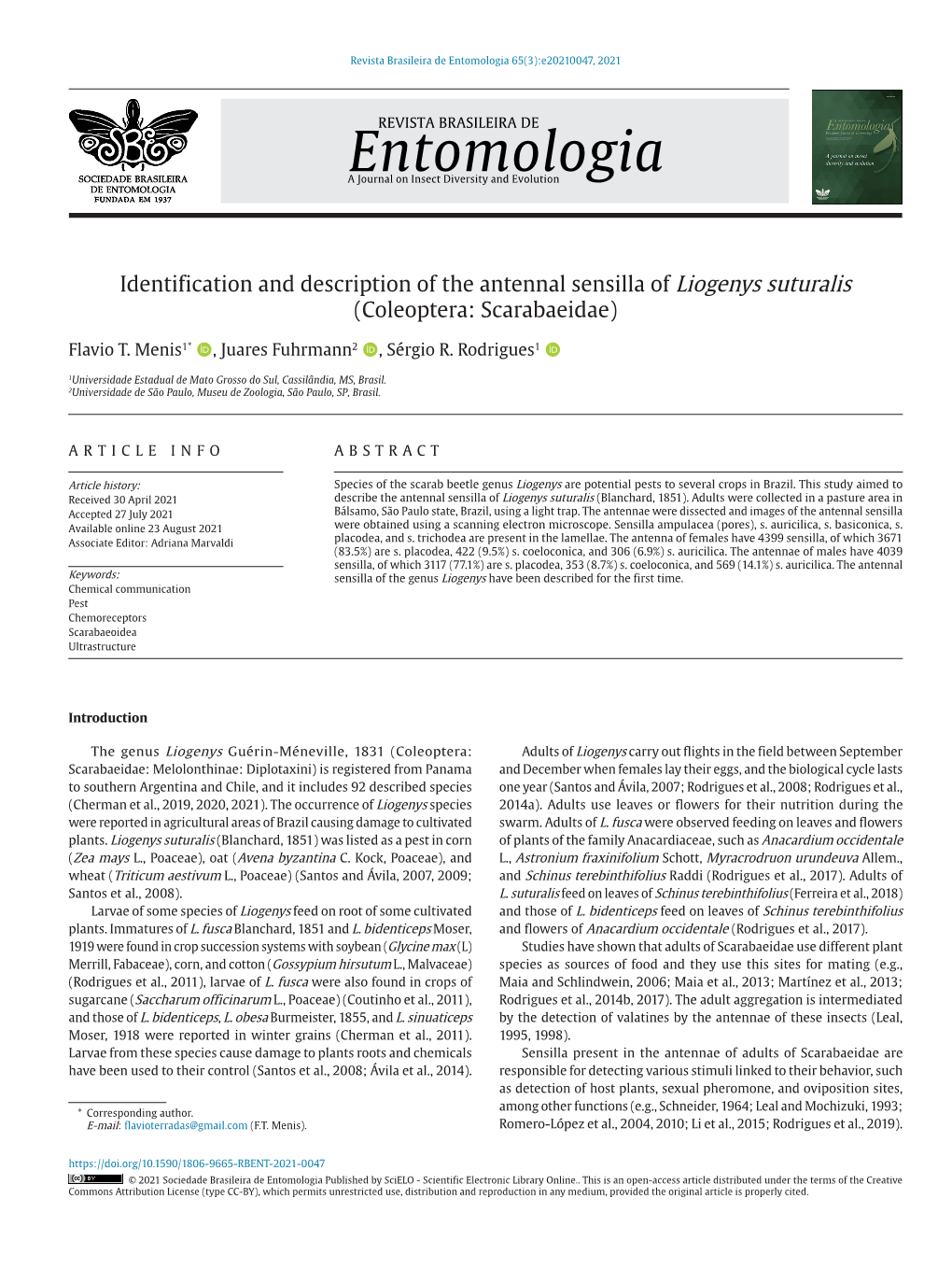 Identification and Description of the Antennal Sensilla of Liogenys Suturalis (Coleoptera: Scarabaeidae)