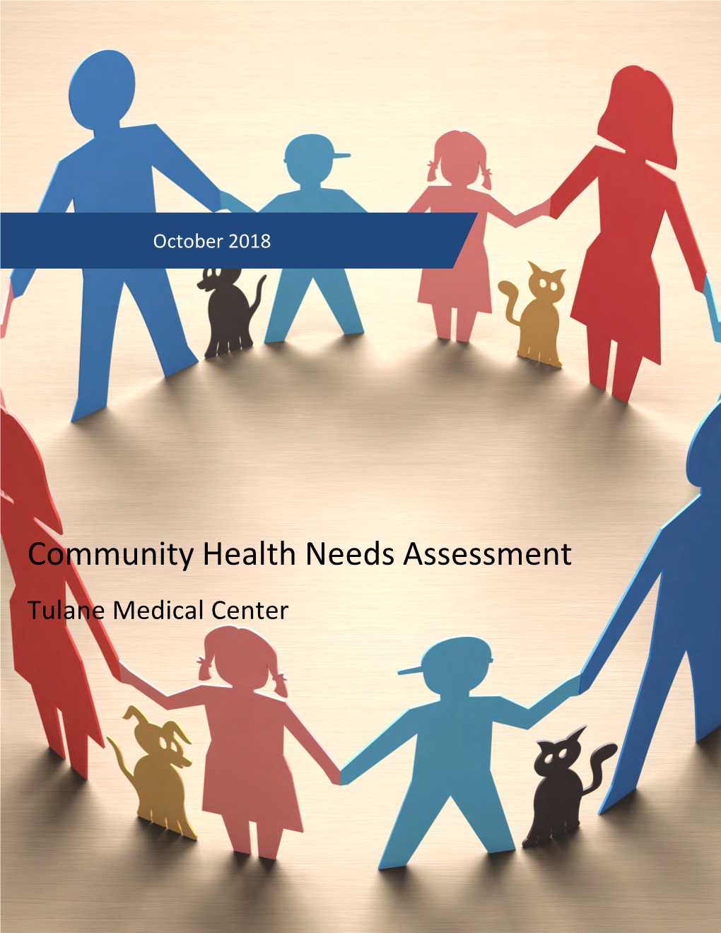 Community Health Needs Assessment