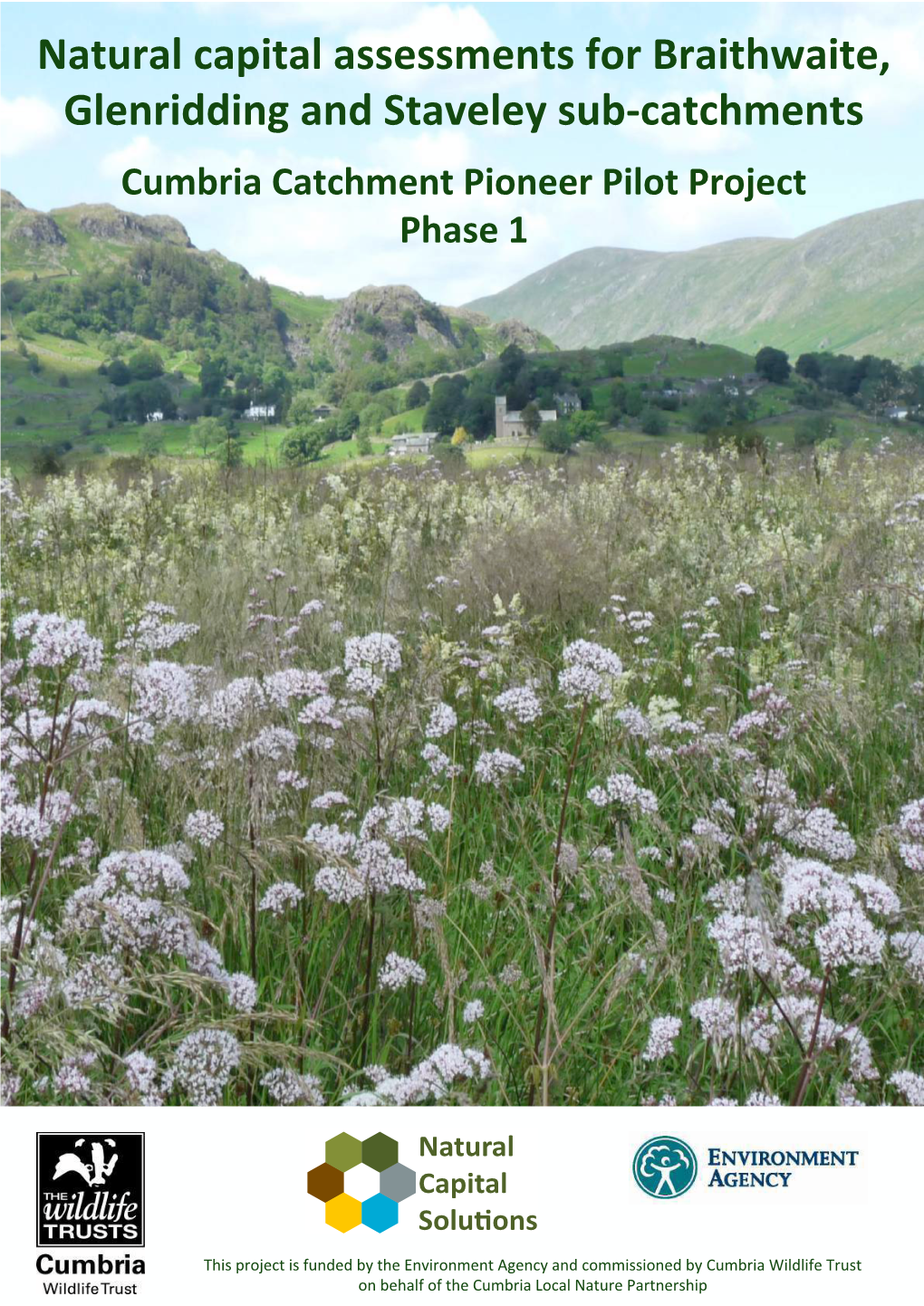 Natural Capital Assessments for Braithwaite, Glenridding and Staveley Sub-Catchments Cumbria Catchment Pioneer Pilot Project Phase 1