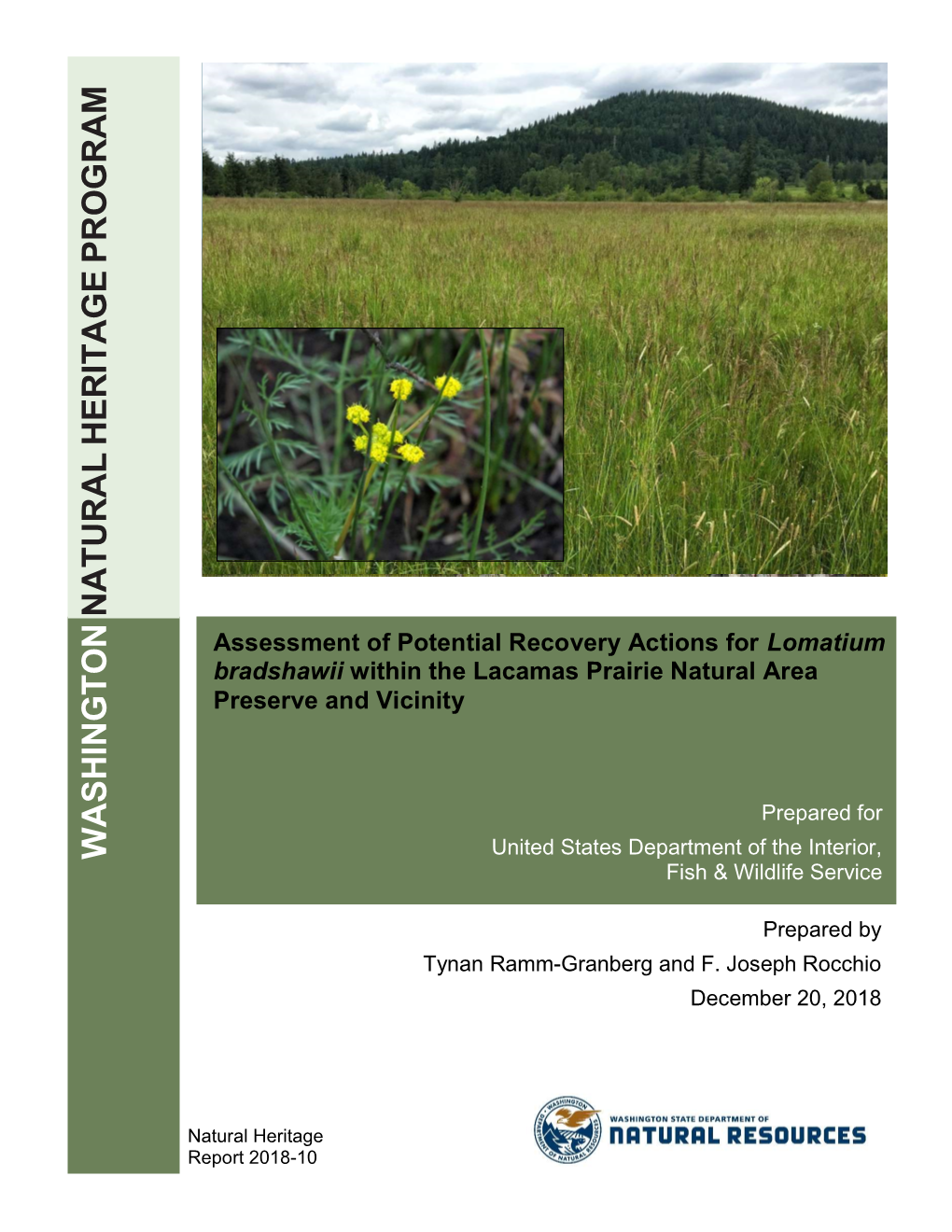 Assessment of Potential Recovery Actions for Lomatium Bradshawii Within the Lacamas Prairie Natural Area