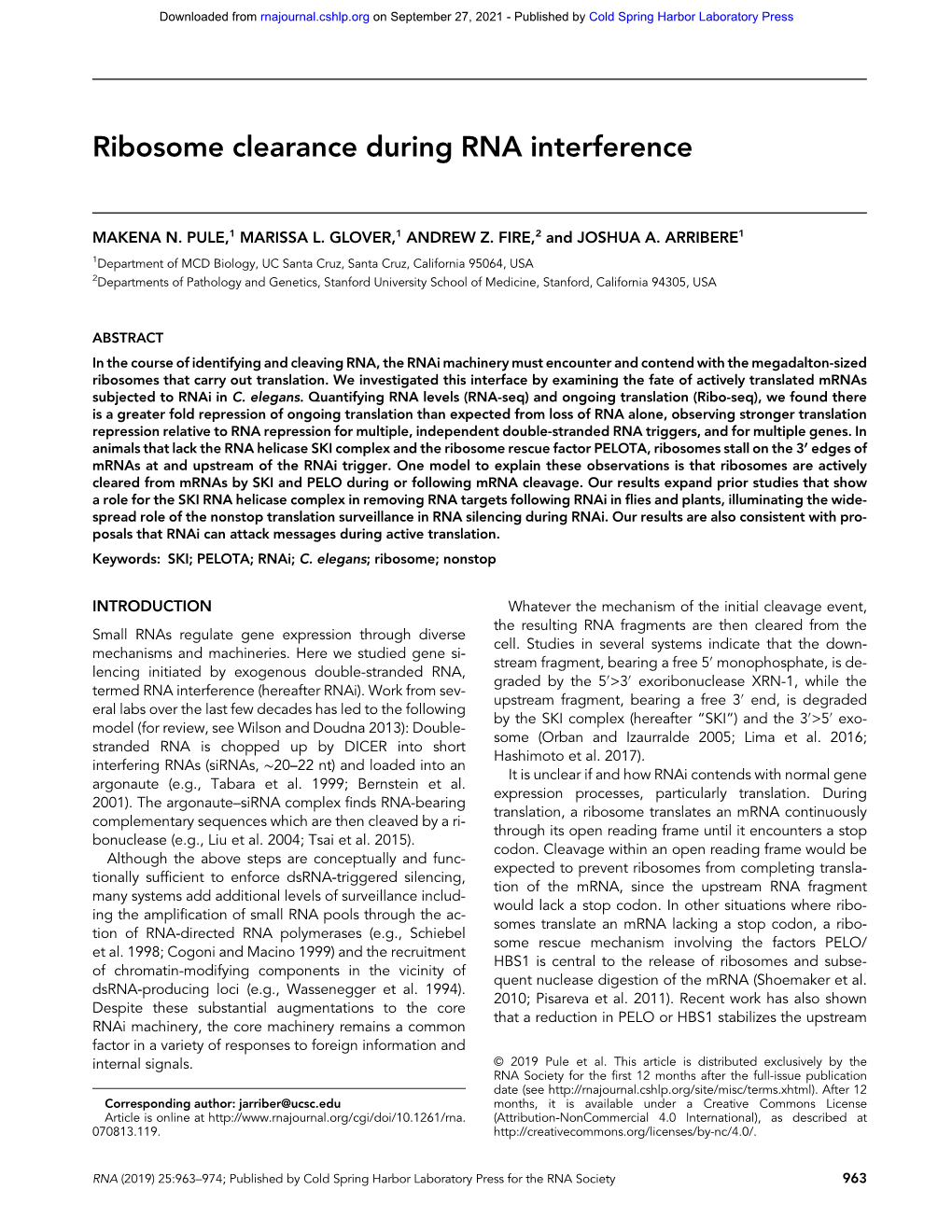 Ribosome Clearance During RNA Interference