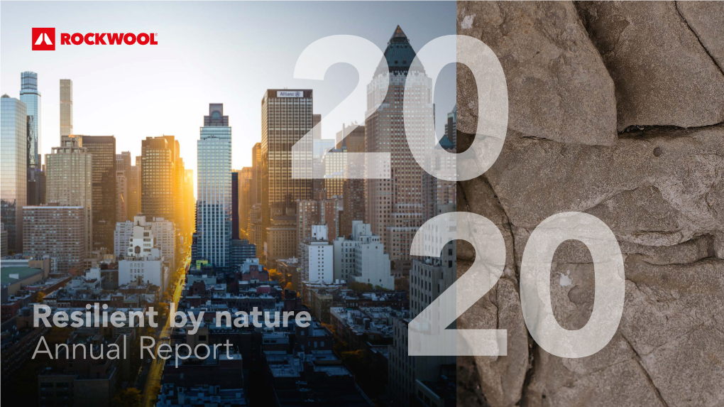 ROCKWOOL Group Annual Report 2020 Overview