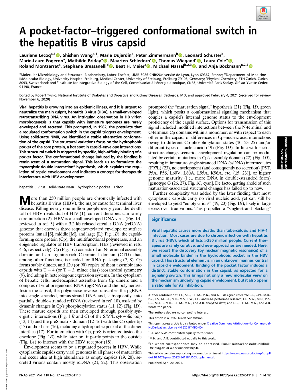 A Pocket-Factor–Triggered Conformational Switch in the Hepatitis B Virus Capsid