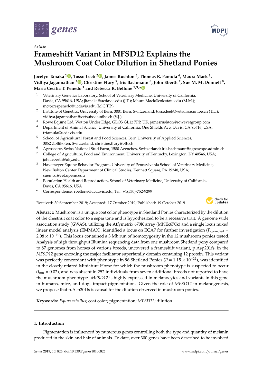 Frameshift Variant in MFSD12 Explains the Mushroom Coat Color Dilution in Shetland Ponies