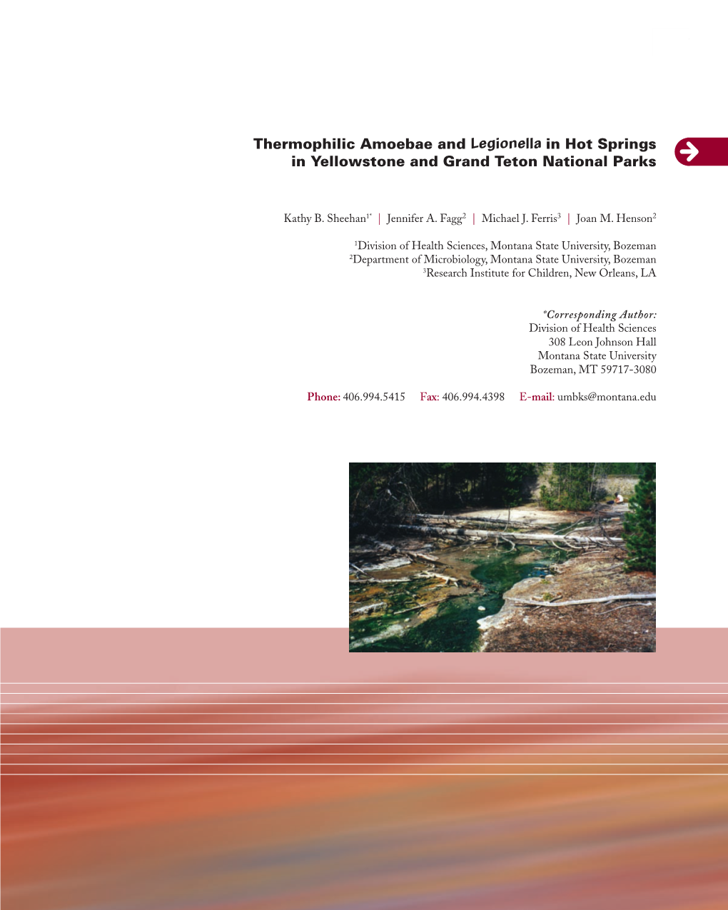 Thermophilic Amoebae and Legionella in Hot Springs In