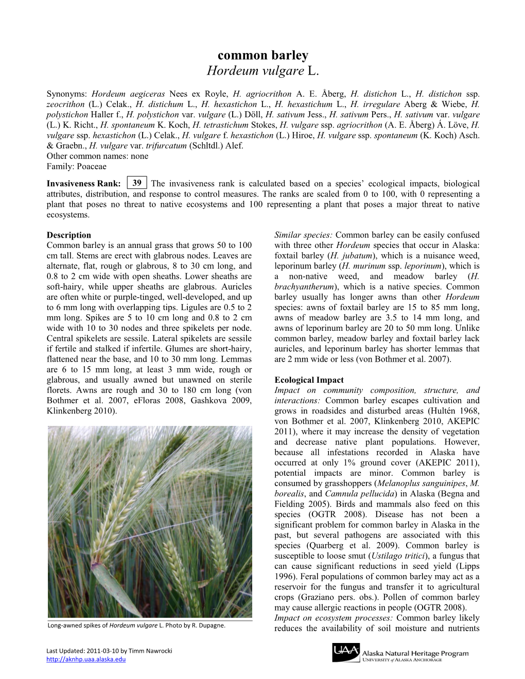 Common Barley Hordeum Vulgare L