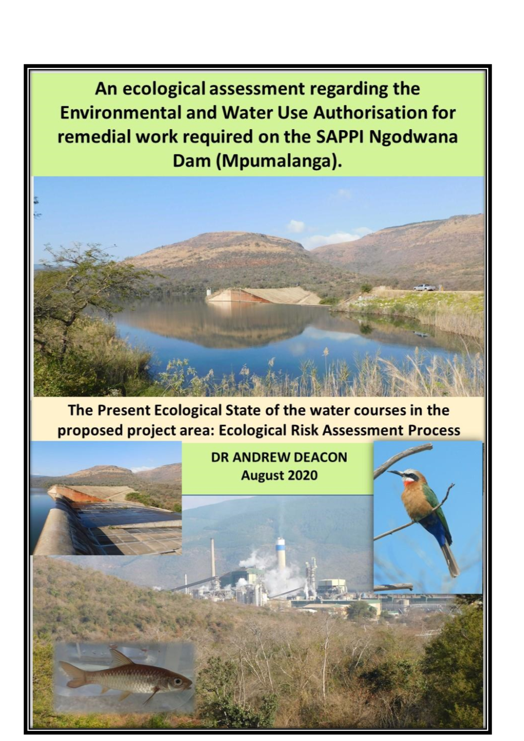 An Ecological Assessment Regarding the Environmental and Water Use Authorisation for Remedial Work Required on the SAPPI Ngodwana Dam (Mpumalanga)