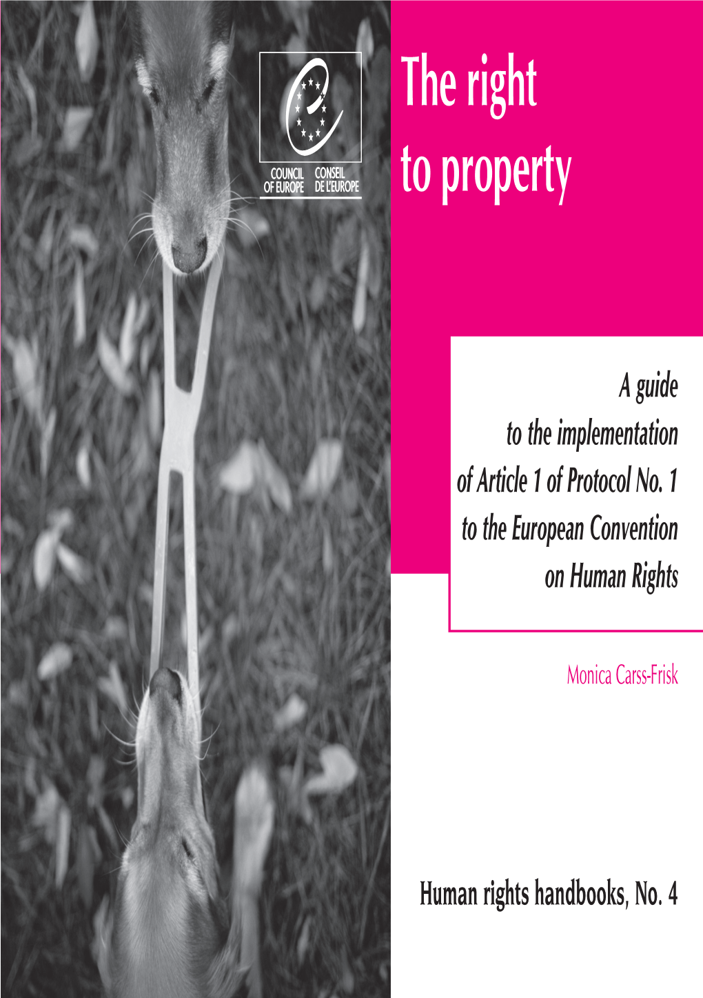 The Right to Property