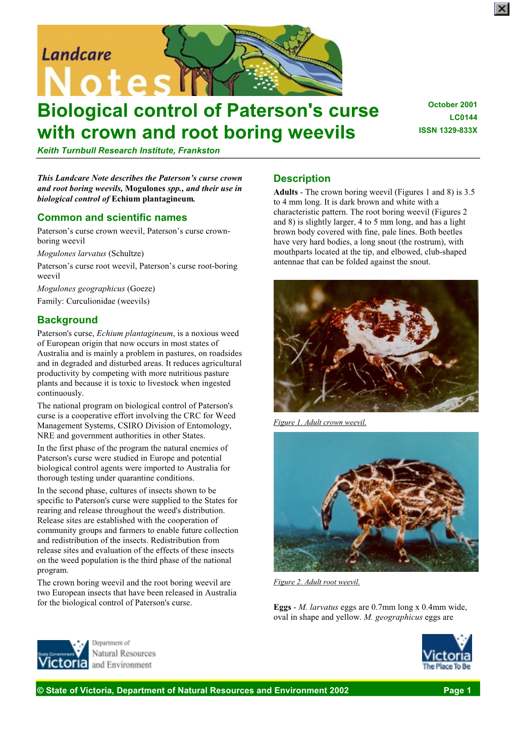 Bio-Control of Paterson's Curse with Crown and Root Boring Weevils