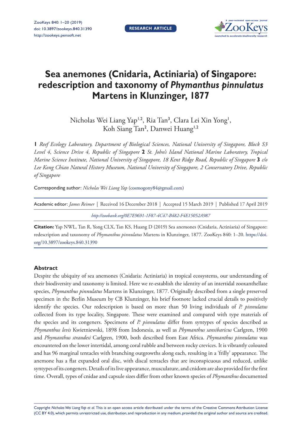 Sea Anemones840: 1–20 (2019) (Cnidaria, Actiniaria) of Singapore: Redescription and Taxonomy of Phymanthus