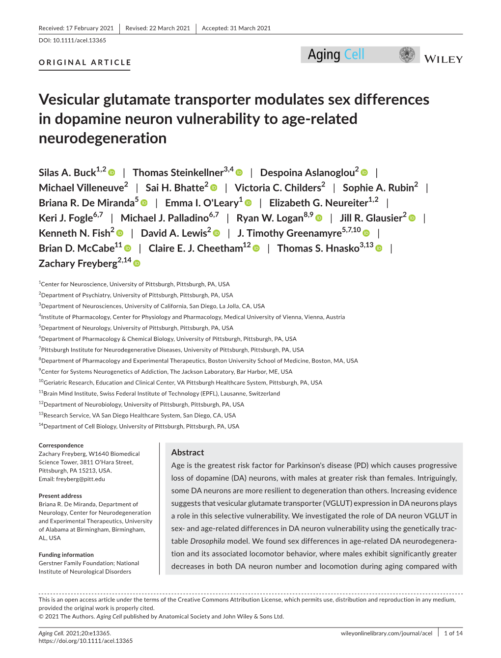 Vesicular Glutamate Transporter Modulates Sex Differences in Dopamine Neuron Vulnerability to Age&#X02010