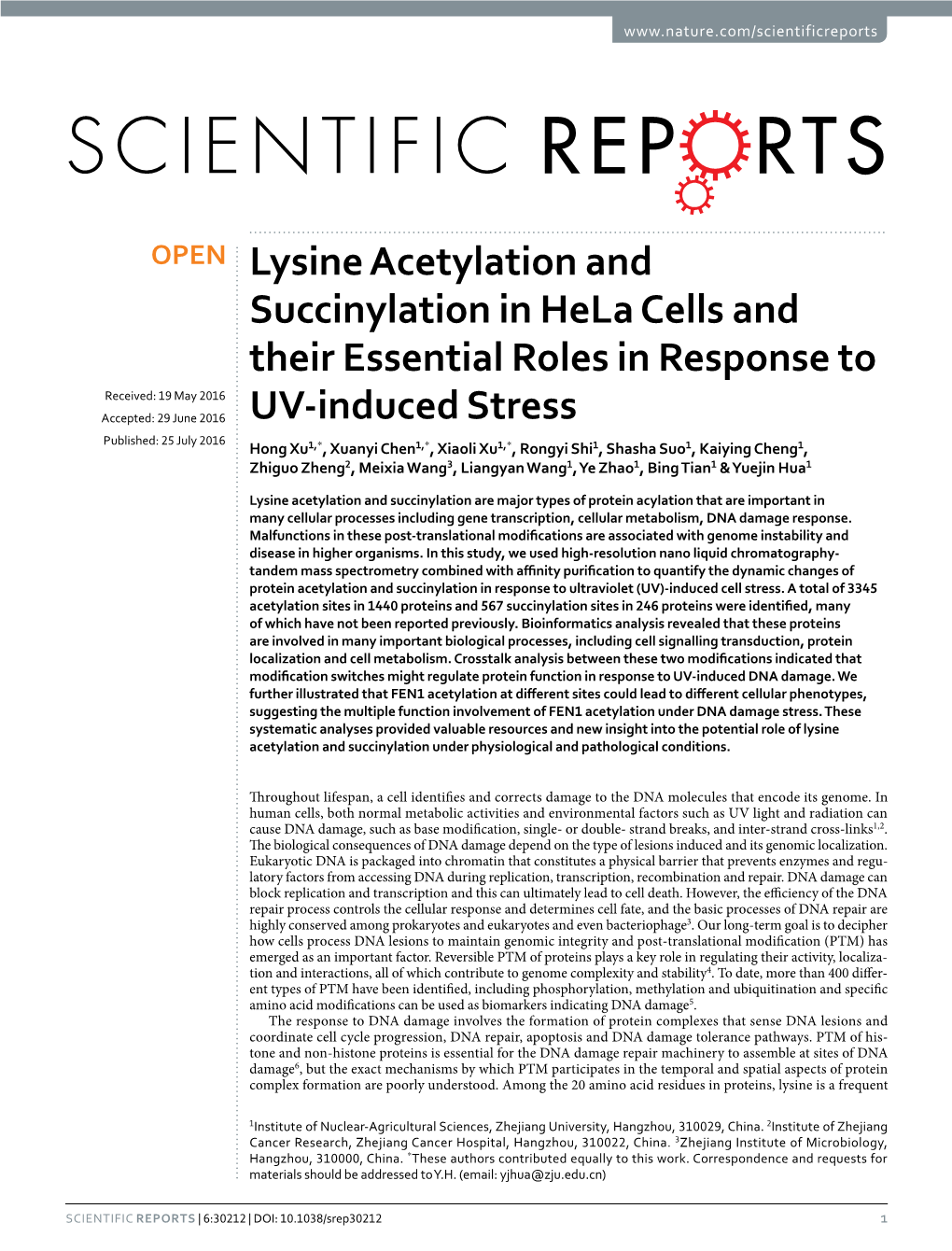 Lysine Acetylation and Succinylation in Hela Cells and Their Essential