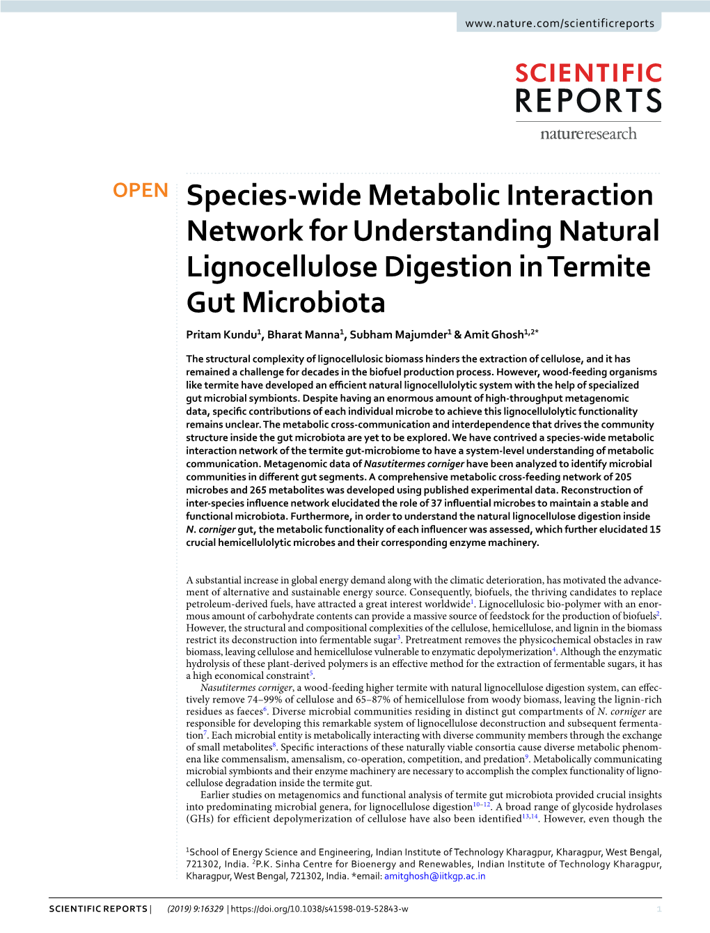 Species-Wide Metabolic Interaction Network for Understanding Natural Lignocellulose Digestion in Termite Gut Microbiota