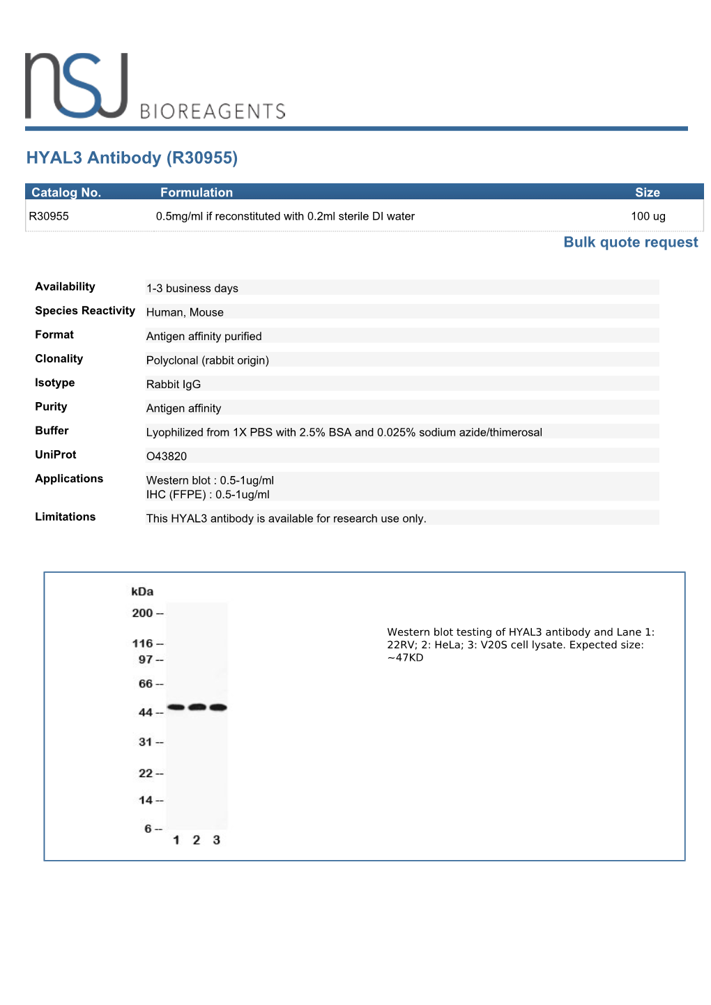 HYAL3 Antibody (R30955)