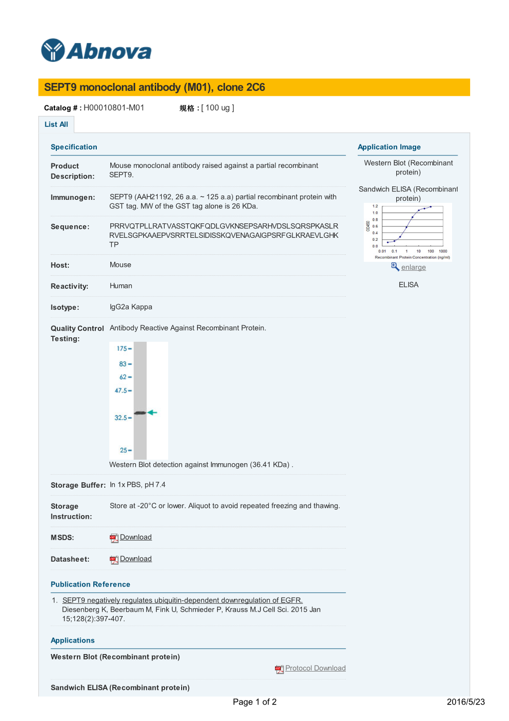 SEPT9 Monoclonal Antibody (M01), Clone 2C6