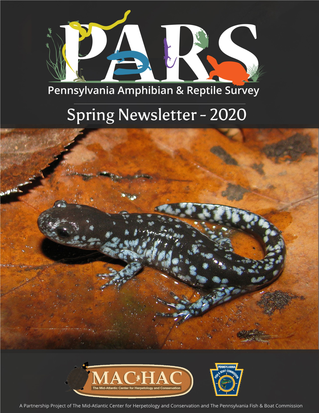 Spring 2020 PARS Newsletter