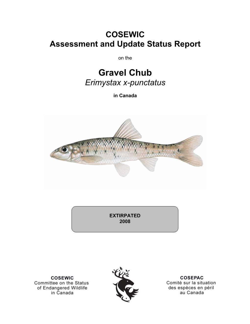 Gravel Chub (Erimystax X-Punctatus) in Canada (Edwards Et Al