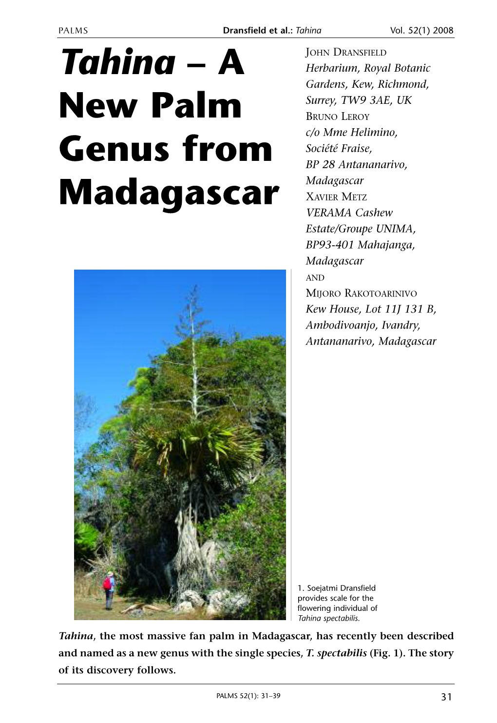 Tahina – a New Palm Genus from Madagascar