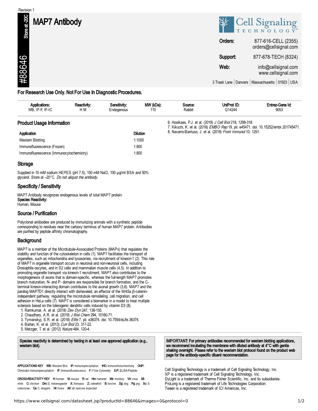 88646 MAP7 Antibody