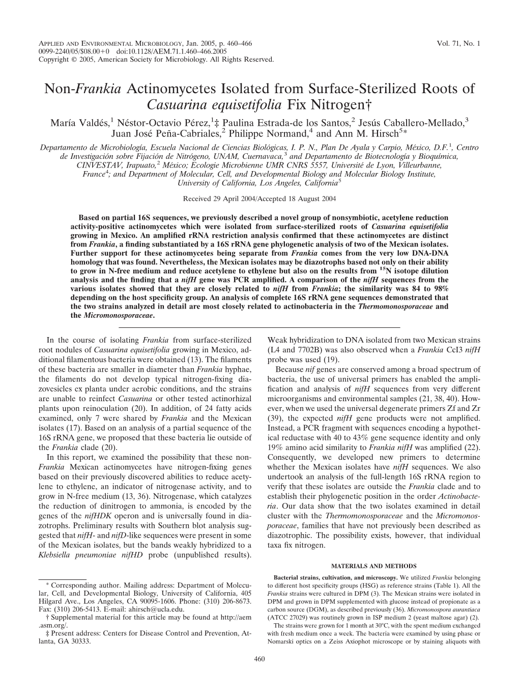 Non-Frankia Actinomycetes Isolated from Surface-Sterilized Roots Of