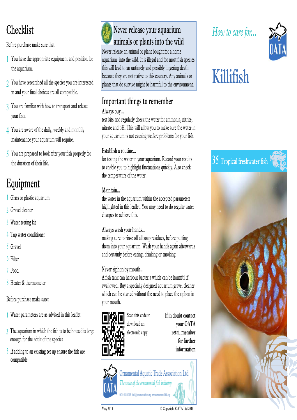 Killifish 2 in and Your Final Choices Are All Compatible