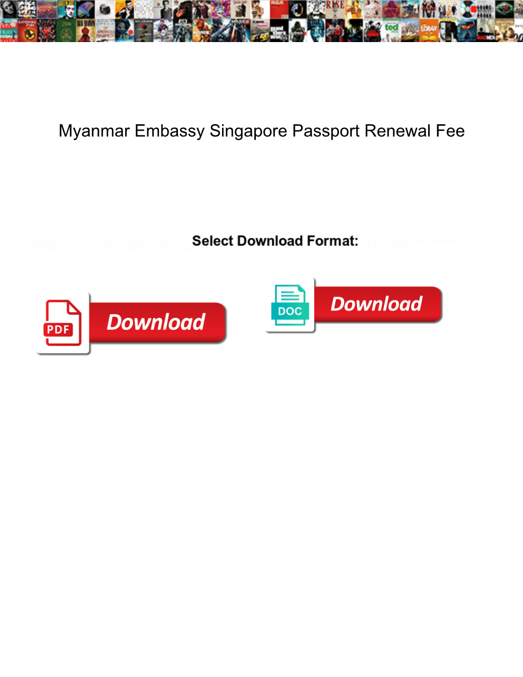 Myanmar Embassy Singapore Passport Renewal Fee