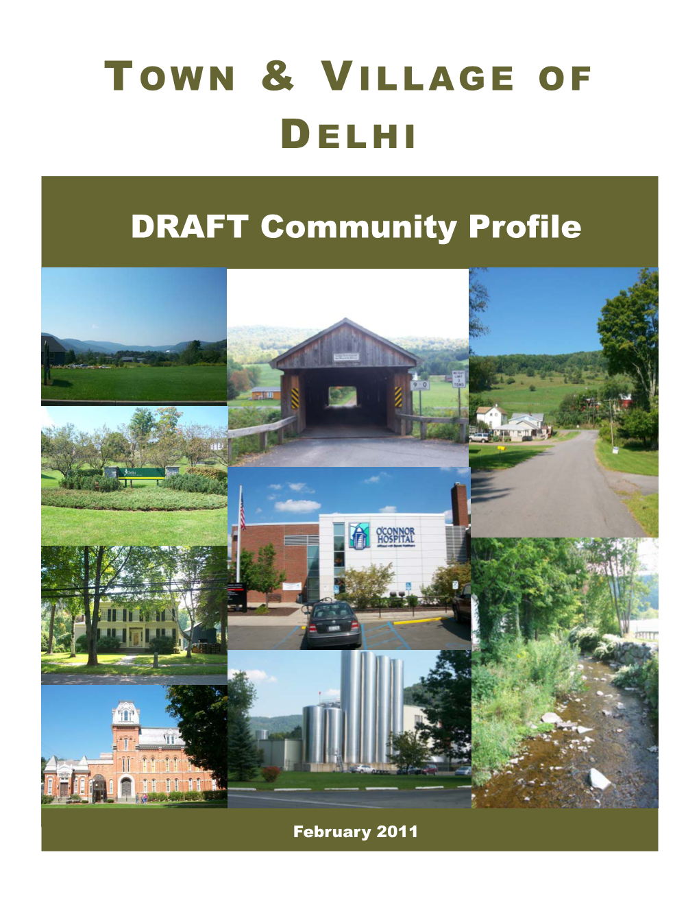8. Draft Delhi Community Profile 2/1/2011
