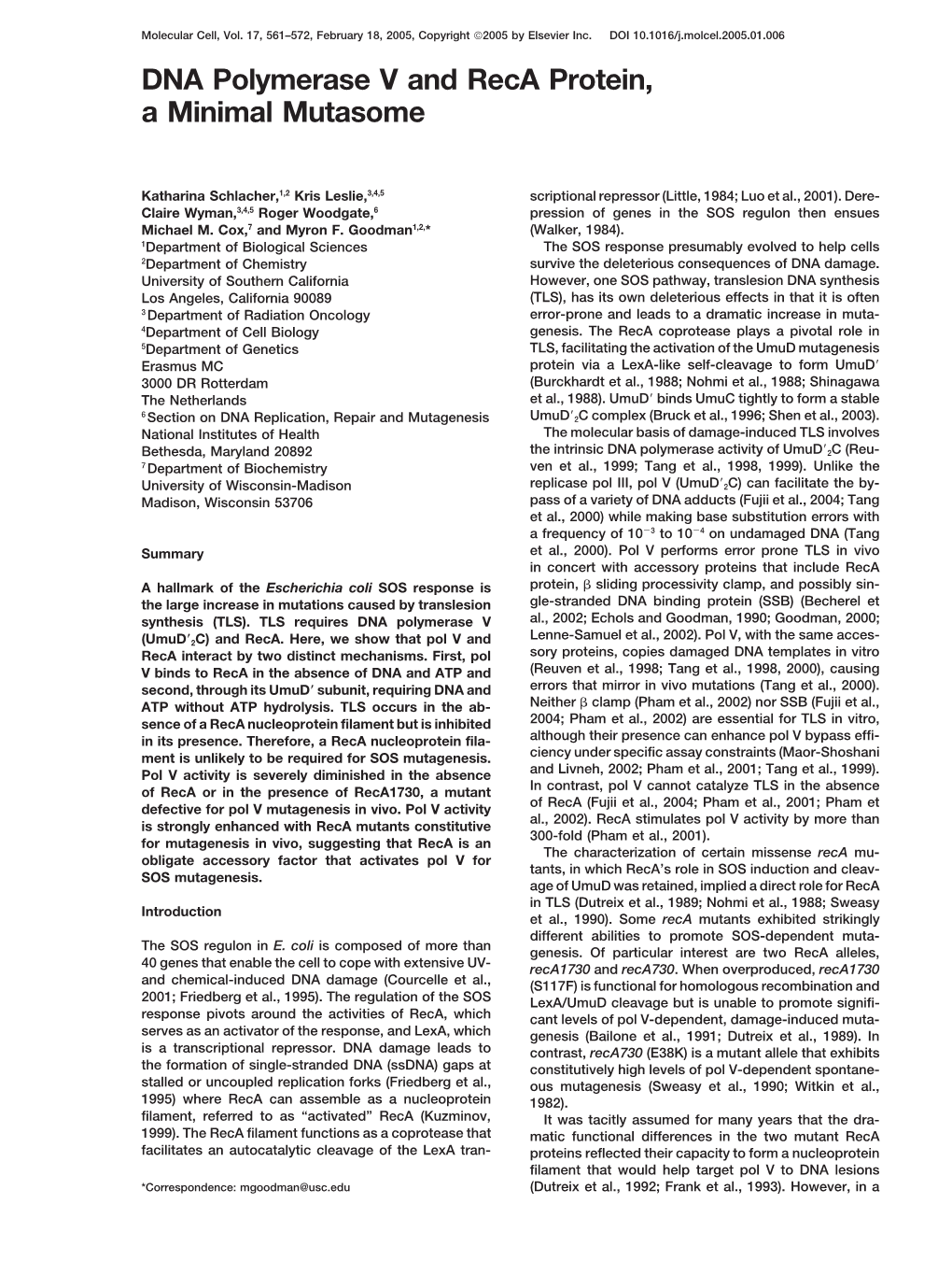 DNA Polymerase V and Reca Protein, a Minimal Mutasome