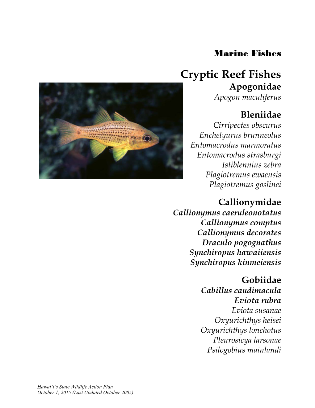 Cryptic Reef Fishes Apogonidae Apogon Maculiferus
