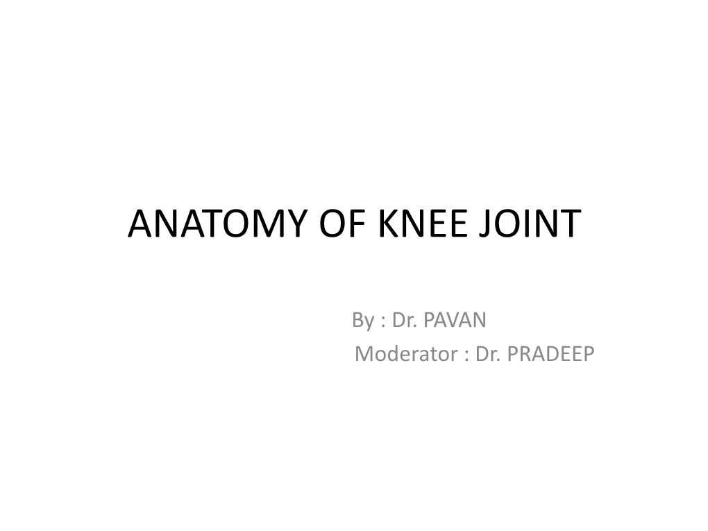 Anatomy of Knee Joint